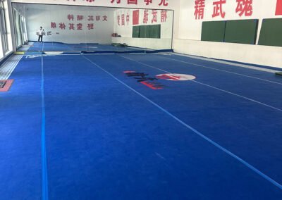 Wudang Jingwu Martial Arts School